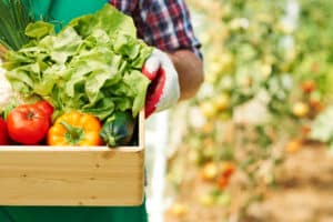 Actividades auxiliares en agricultura