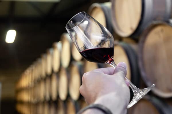 mano sujetando una copa de vino en bodega