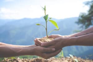 Gestión ambiental