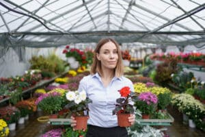 Gestión de la producción de semillas y plantas en vivero