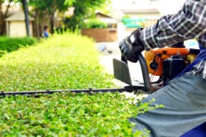 Instalación y mantenimiento de jardines y zonas verdes